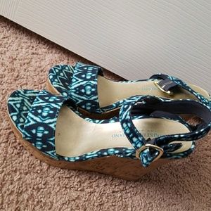 Blue Wedges